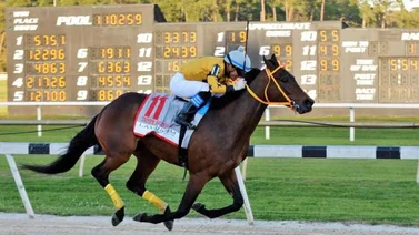 Criollos apoderados del meeting de Gulfstream