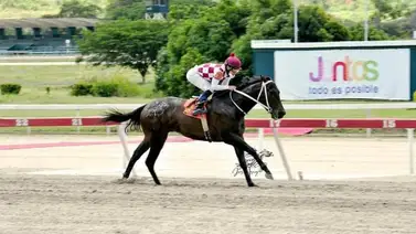 José Enrique se perfila como posible candidato al Clásico del Caribe José Enrique se perfila como posible candidato al Clásico del Caribe