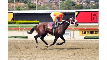 Gran Giocatore correrá el Simón Bolívar