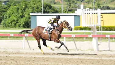 Carolinita con amplio favoritismo en La Rinconada