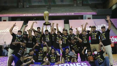 Luz verde para Superliga Profesional en formato Copa