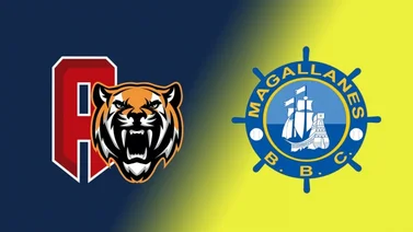 Tigres y Magallanes esperan poder contar con sus grandeligas