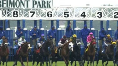 Simulcast Belmont Park