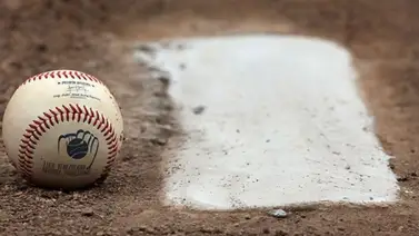 Juegos para hoy LVBP: Magallanes recibe a los Leones Juegos para hoy LVBP: Magallanes recibe a los Leones
