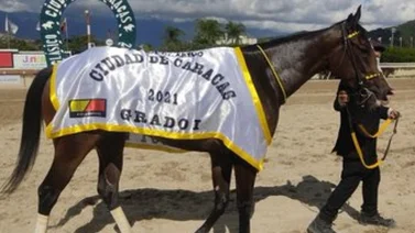 Philomena debutó con victoria en el Clásico Ciudad de Caracas GI