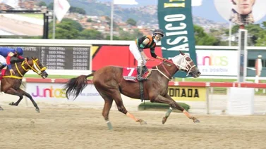 Lusitano con un futuro selectivo en el 2022