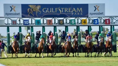 Gulfstream Park sin actividad el fin de semana