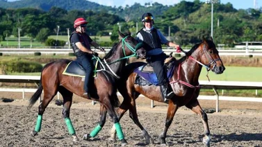 Sandovalera se adapta muy bien al Hipódromo de Camarero