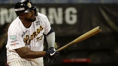 Resultados del beisbol venezolano este 25 de Nov: Leones y Caribes cortan racha negativa