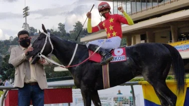 Franklin González Jr. mas centrado que nunca en su profesión