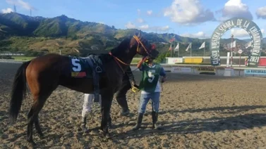 Resultados La Rinconada 28/11/2021