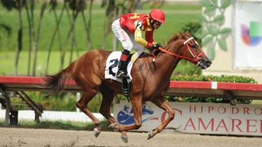 Esplendora sustituye a Regalada en la Copa Lucky Cash