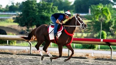 Sorteados los puestos de pista del Clásico Internacional del Caribe 2021