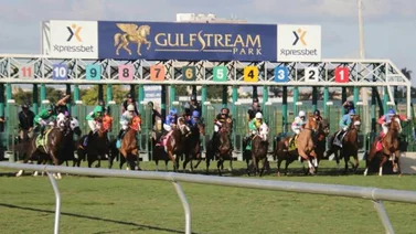 Simulcast Meridiano: Gulfstream Park 04/12/2021