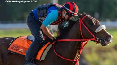 Strength Mask fuera de peligro tras su actuación en Puerto Rico
