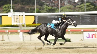 El de Froix llegó tercero en la Copa Confraternidad del Caribe