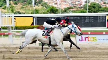 El hipódromo La Rinconada despide el año con cinco clásicos