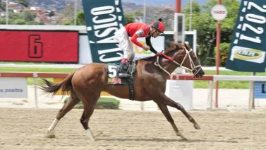 Campeona Sprinter en La Rinconada esta embarazada de un hijo del mejor semental del mundo