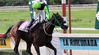 Sandovalera fue el mejor ejemplar de La Rinconada de la temporada 2021