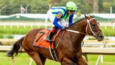 Joel Rosario regresa a la acción el 14 de enero Joel Rosario regresa a la acción el 14 de enero