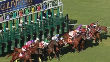 Datos de las carreras americanas (Simulcast Gulfstream Park 29/12/2021)