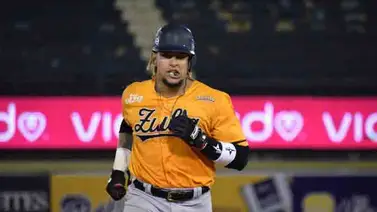 José Briceño: Es un sueño ser refuerzo de los Tigres del Licey José Briceño: Es un sueño ser refuerzo de los Tigres del Licey