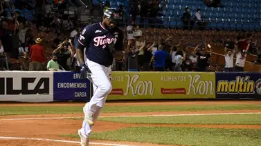 Tigres mantienen sus aspiraciones al liquidar a Leones (+Videos) Tigres mantienen sus aspiraciones al liquidar a Leones (+Videos)