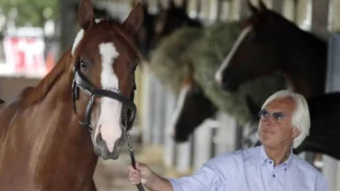 Bob Baffert planea demandar a Churchill Downs