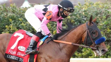 Concert Tour con luz verde para reaparecer en el Fifth Season Stakes