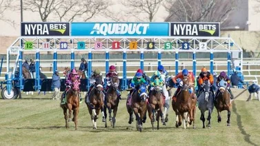 Simulcast: Aqueduct 15/ 01/2022