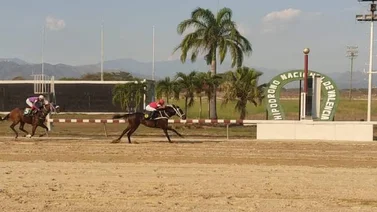 Resultados Hipódromo Nacional de Valencia 14/01/2022