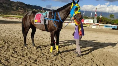 Resultados La Rinconada 16/01/2022
