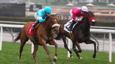 La madura Neige Blanche demostró superioridad en el Astra Stakes