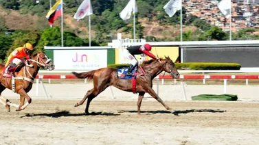 Hay 19 carreras para este fin de semana entre Valencia y La Rinconada