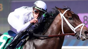 Irad Ortiz montará este sábado en Gulfstream Park