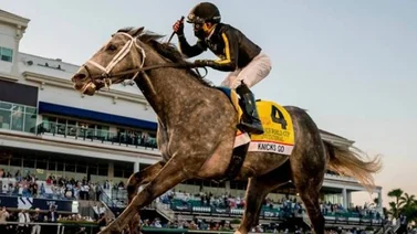 Sorteado los puestos de pista de la Pegasus World Cup 2022