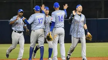 ¿Cuántos títulos tienen los Navegantes del Magallanes? ¿Cuántos títulos tienen los Navegantes del Magallanes?