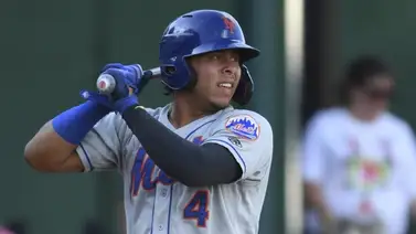 Francisco Álvarez: talento criollo que también sigue los pasos de Salvador Pérez (+Videos) Francisco Álvarez: talento criollo que también sigue los pasos de Salvador Pérez (+Videos)