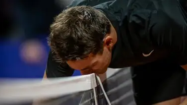 Del Potro: El mundo sabe del esfuerzo que hice con las lesiones Del Potro: El mundo sabe del esfuerzo que hice con las lesiones