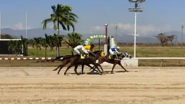 Estos son los retirados del Hipódromo de Valencia 9-3-2024 Estos son los retirados del Hipódromo de Valencia 9-3-2024