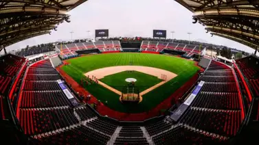 Más de 20 criollos presentes en la Liga Mexicana de Beisbol Más de 20 criollos presentes en la Liga Mexicana de Beisbol