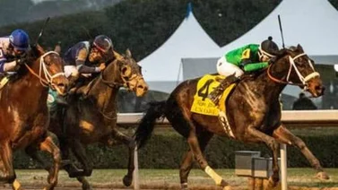 Un Ojo sorprendió en el Rebel Stakes de Oaklawn