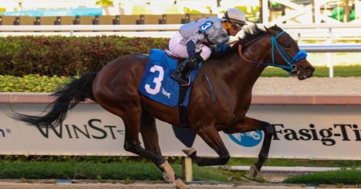 Criollos dicen presente en el Fountain of Youth Stakes de Gulfstream Park