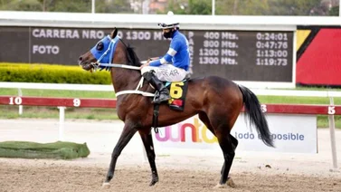 La Rinconada con tres clásicos y un trofeo para este fin de semana