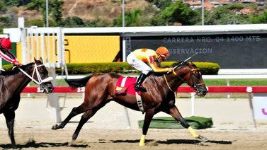 Colossus se pone a tono para salir de perdedores en La Rinconada