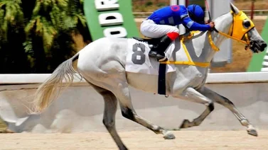 Resultados Hinava 24/07/2021