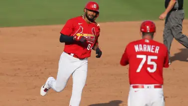 El dopaje de José Rondón. ¿Qué es la boldenona? El dopaje de José Rondón. ¿Qué es la boldenona?