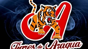 Víctor Zambrano es el nuevo presidente de los Tigres de Aragua