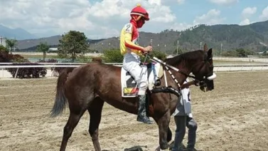 Lady Zarina por su cuarto triunfo consecutivo en La Rinconada