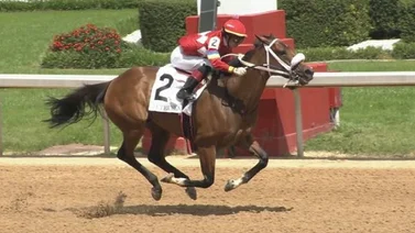 Letruska conquista su segundo Apple Blossom